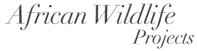 African Wildlife Projects